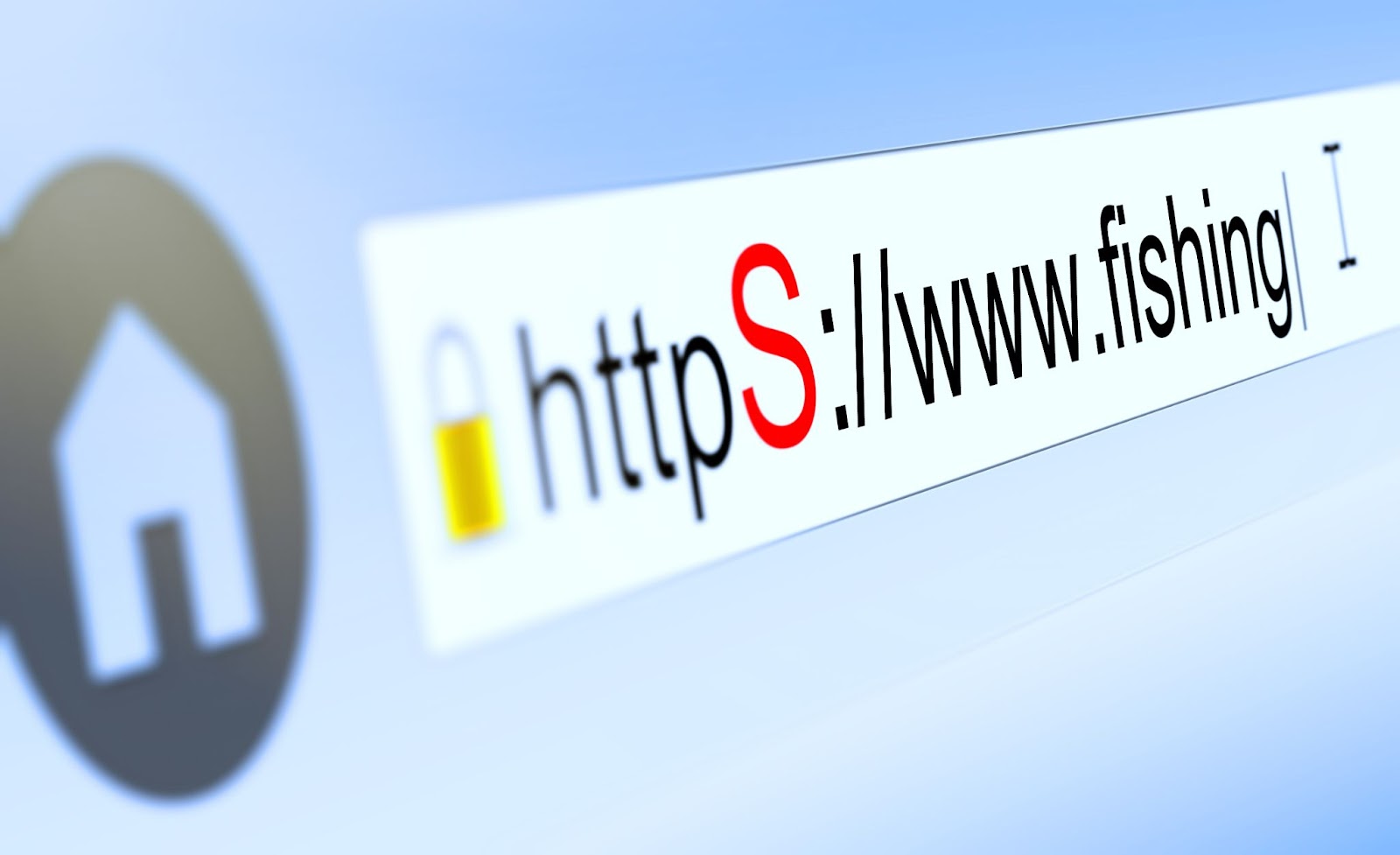 Fake Online Stores: Signs and Protection Against Fraud - EXP Sovet. Фото №4